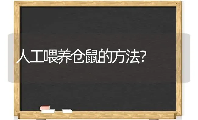 人工喂养仓鼠的方法？ | 动物养殖问答