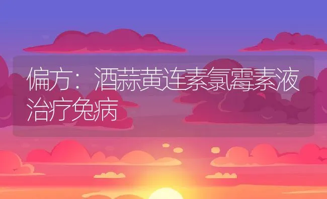 乌龟养殖腐甲炎的防治技术 | 水产养殖知识