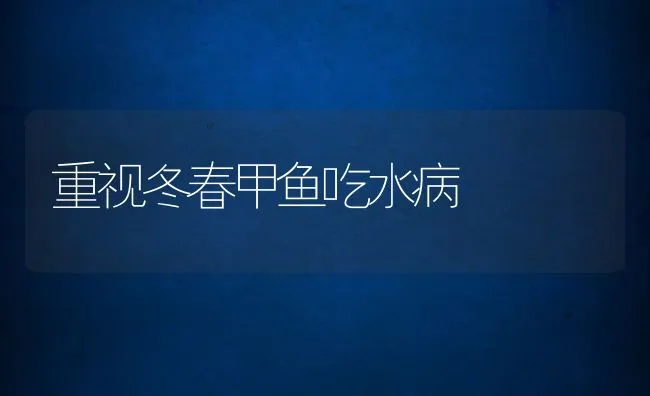 重视冬春甲鱼吃水病 | 水产养殖知识