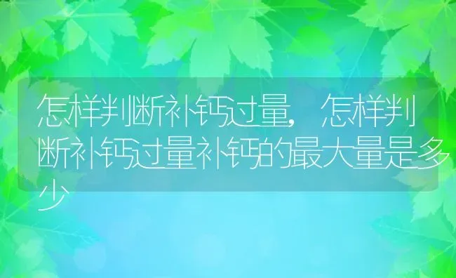 怎样判断补钙过量,怎样判断补钙过量补钙的最大量是多少 | 宠物百科知识