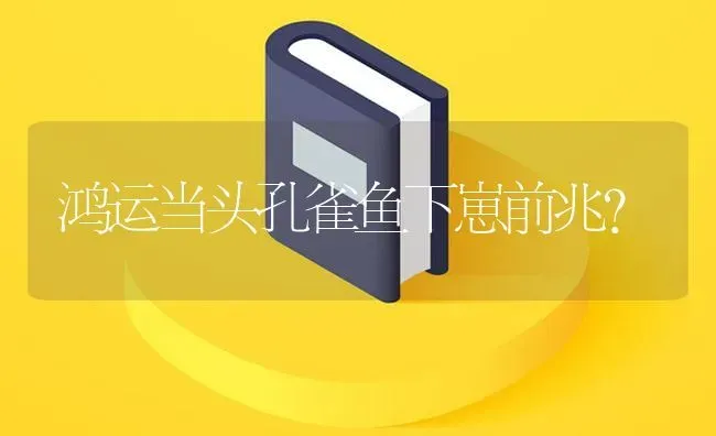 鸿运当头孔雀鱼下崽前兆？ | 鱼类宠物饲养