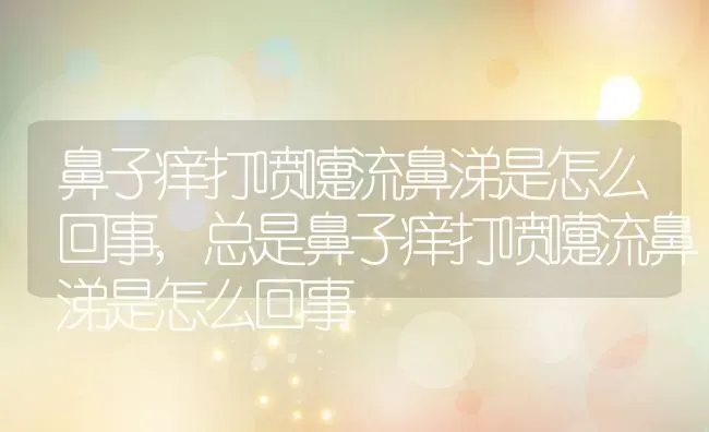 鼻子痒打喷嚏流鼻涕是怎么回事,总是鼻子痒打喷嚏流鼻涕是怎么回事 | 宠物百科知识