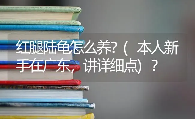 红腿陆龟怎么养？(本人新手在广东，讲详细点)？ | 动物养殖问答