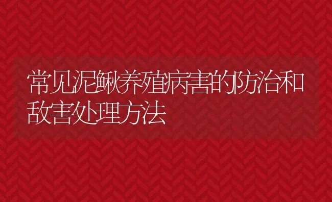 常见泥鳅养殖病害的防治和敌害处理方法 | 动物养殖教程