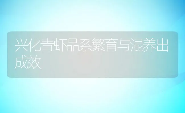 兴化青虾品系繁育与混养出成效 | 动物养殖饲料