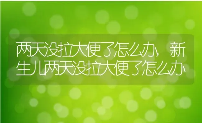 两天没拉大便了怎么办,新生儿两天没拉大便了怎么办 | 宠物百科知识