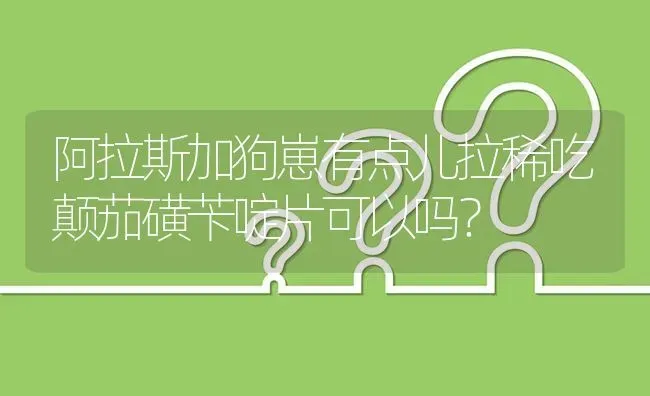 阿拉斯加狗崽有点儿拉稀吃颠茄磺苄啶片可以吗？ | 动物养殖问答