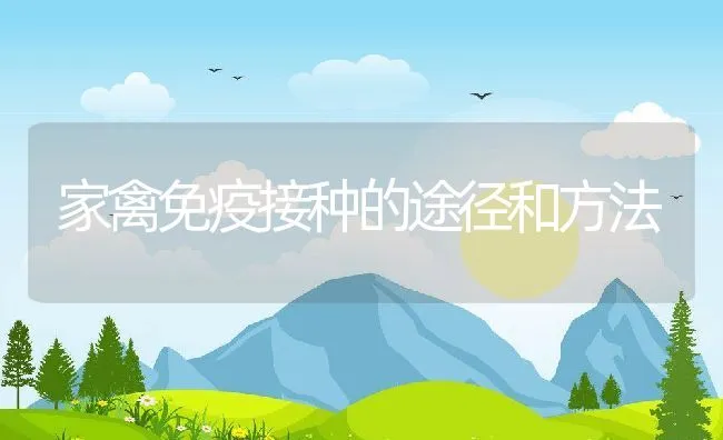 家禽免疫接种的途径和方法 | 动物养殖学堂