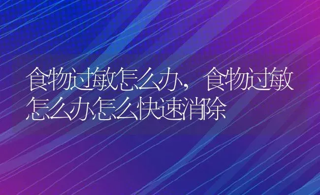 食物过敏怎么办,食物过敏怎么办怎么快速消除 | 宠物百科知识