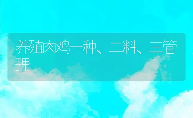 养殖肉鸡一种、二料、三管理 | 动物养殖饲料