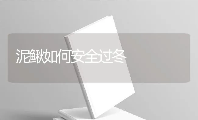 泥鳅如何安全过冬 | 动物养殖饲料