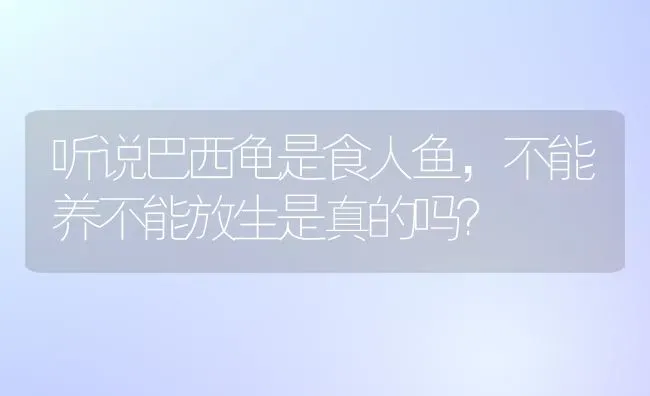 听说巴西龟是食人鱼，不能养不能放生是真的吗？ | 动物养殖问答