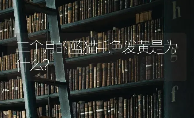 4斤8两的纯比熊它纯吗？ | 动物养殖问答