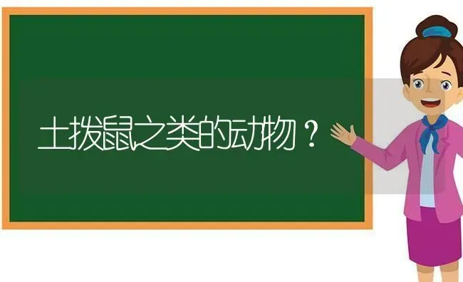 土拨鼠之类的动物？ | 动物养殖问答