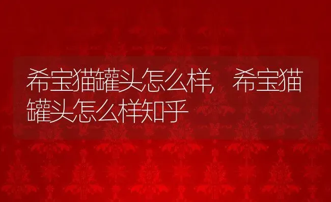 希宝猫罐头怎么样,希宝猫罐头怎么样知乎 | 宠物百科知识