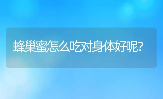 蜂巢蜜怎么吃对身体好呢？ | 动物养殖百科