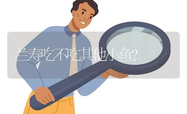 兰寿吃不吃其他小鱼？ | 鱼类宠物饲养