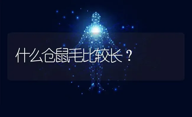 比熊为什么总是跟疯子似的？ | 动物养殖问答