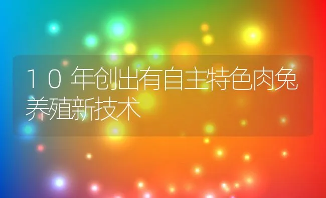 10年创出有自主特色肉兔养殖新技术 | 水产养殖知识