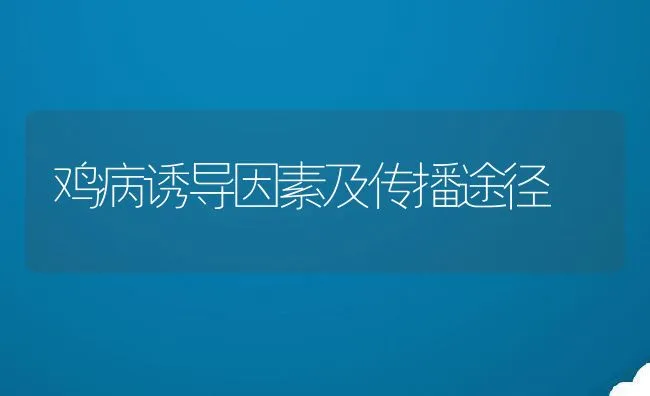 鸡病诱导因素及传播途径 | 动物养殖学堂