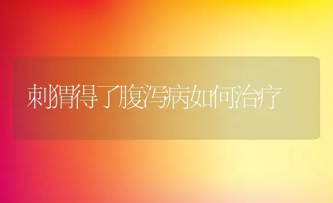 刺猬得了腹泻病如何治疗 | 动物养殖教程