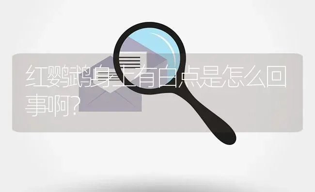 红鹦鹉身上有白点是怎么回事啊？ | 鱼类宠物饲养