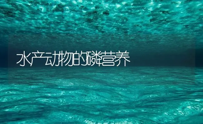 水产动物的磷营养 | 海水养殖技术