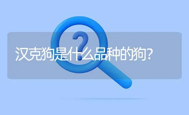 汉克狗是什么品种的狗？ | 动物养殖问答