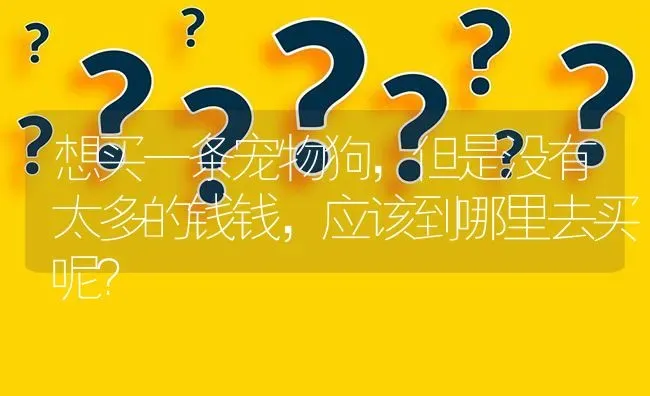 想买一条宠物狗，但是没有太多的钱钱，应该到哪里去买呢？ | 动物养殖问答