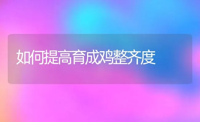 如何提高育成鸡整齐度 | 动物养殖学堂