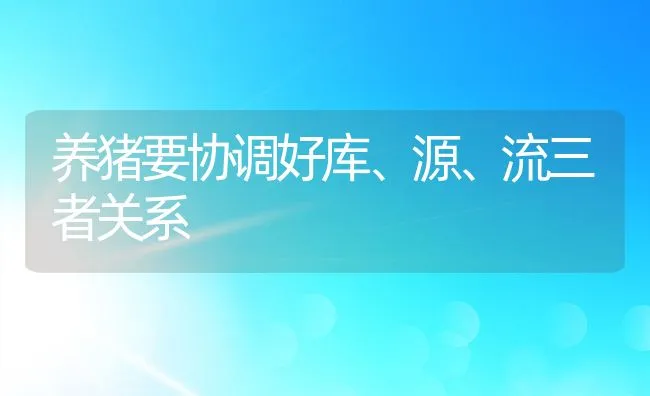 养猪要协调好库、源、流三者关系 | 动物养殖饲料