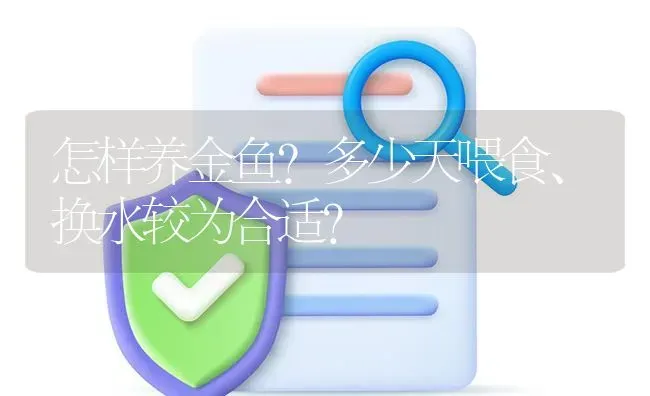 怎样养金鱼？多少天喂食、换水较为合适？ | 鱼类宠物饲养