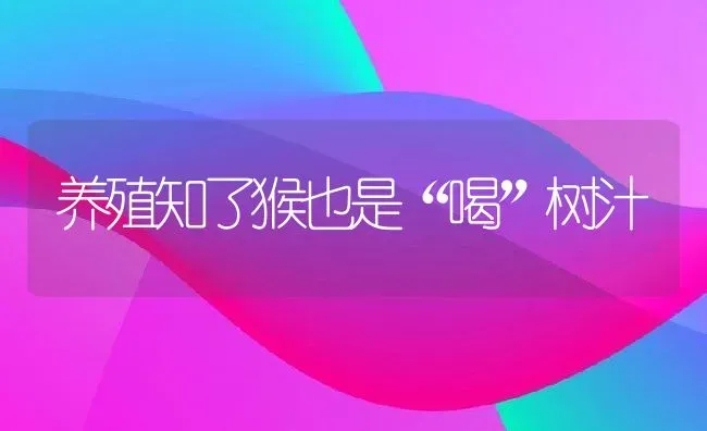 养殖知了猴也是“喝”树汁 | 动物养殖百科