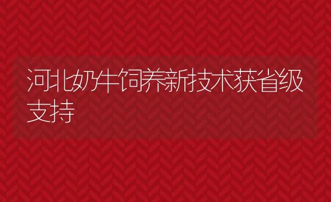 河北奶牛饲养新技术获省级支持 | 动物养殖饲料