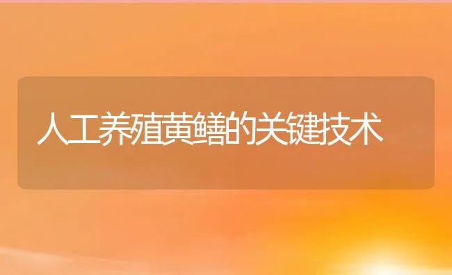 人工养殖黄鳝的关键技术 | 水产养殖知识