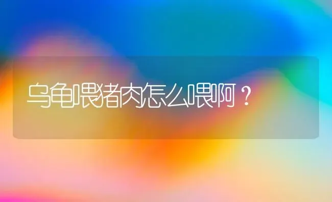 褐头鳄龟是什么品种？ | 动物养殖问答