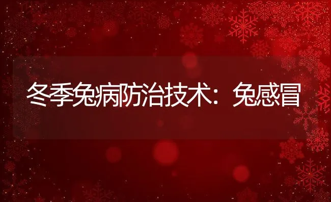 冬季兔病防治技术：兔感冒 | 水产养殖知识