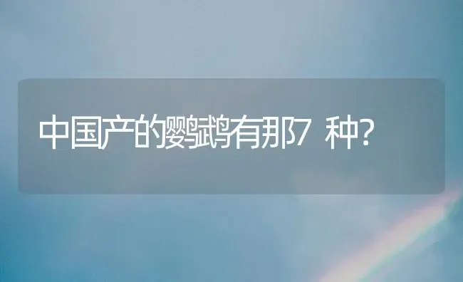 中国产的鹦鹉有那7种？ | 动物养殖问答