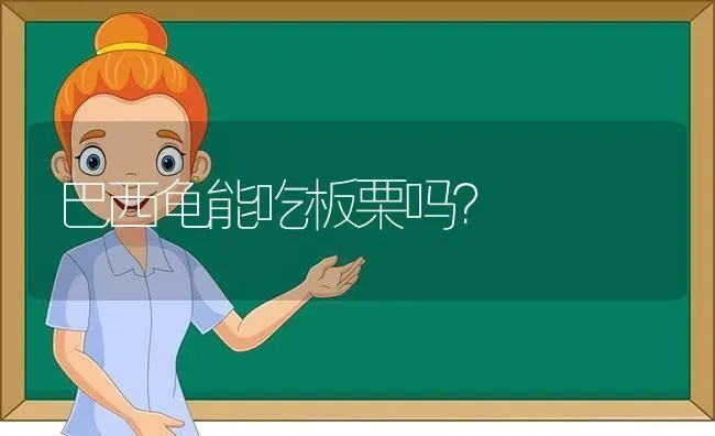 巴西龟能吃板栗吗？ | 动物养殖问答