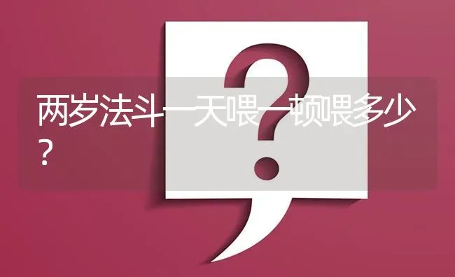 两岁法斗一天喂一顿喂多少？ | 动物养殖问答