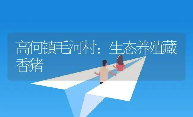 如何提早肉驴养殖出栏时间？ | 动物养殖教程