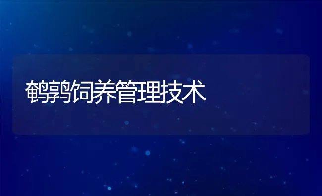 鹌鹑饲养管理技术 | 动物养殖饲料