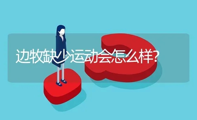 边牧缺少运动会怎么样？ | 动物养殖问答