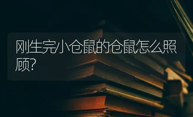 刚生完小仓鼠的仓鼠怎么照顾？ | 动物养殖问答