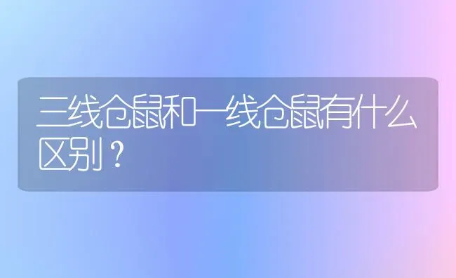 三线仓鼠和一线仓鼠有什么区别？ | 动物养殖问答