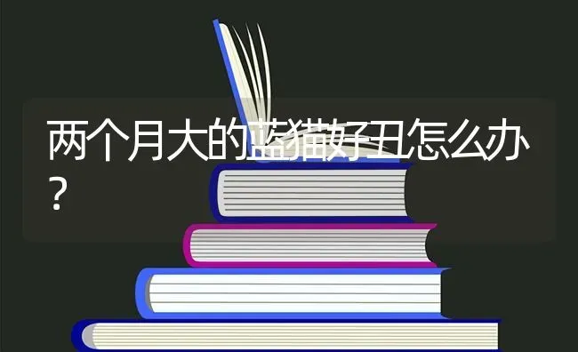 两个月大的蓝猫好丑怎么办？ | 动物养殖问答