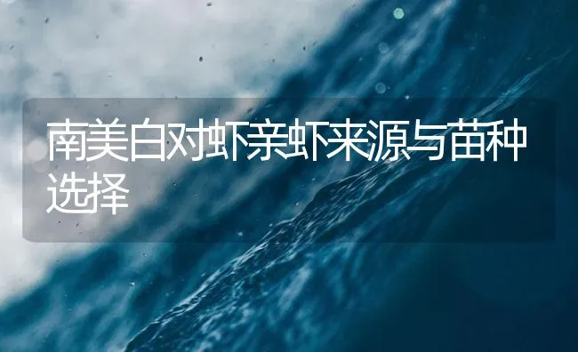 南美白对虾亲虾来源与苗种选择 | 海水养殖技术