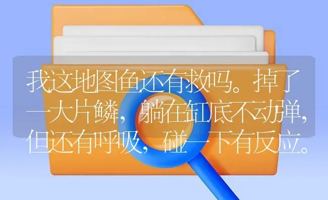 我这地图鱼还有救吗。掉了一大片鳞，躺在缸底不动弹，但还有呼吸，碰一下有反应。加了杀菌水，不知有用不？ | 鱼类宠物饲养