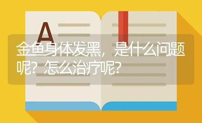 金鱼身体发黑，是什么问题呢？怎么治疗呢？ | 鱼类宠物饲养