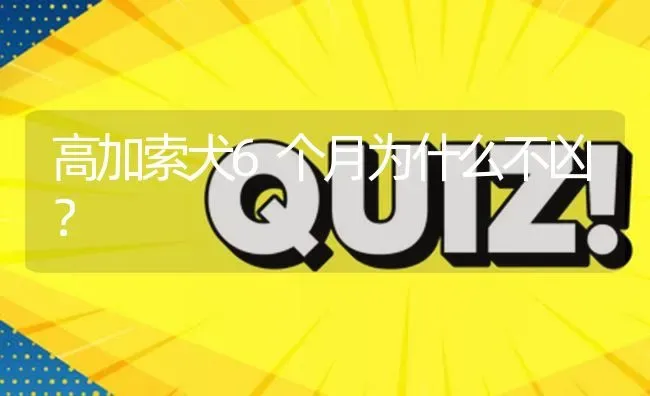 高加索犬6个月为什么不凶？ | 动物养殖问答